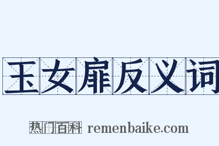 玉女扉反义词是什么意思的图片